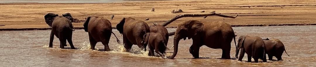 Magical Kenya safari landscape