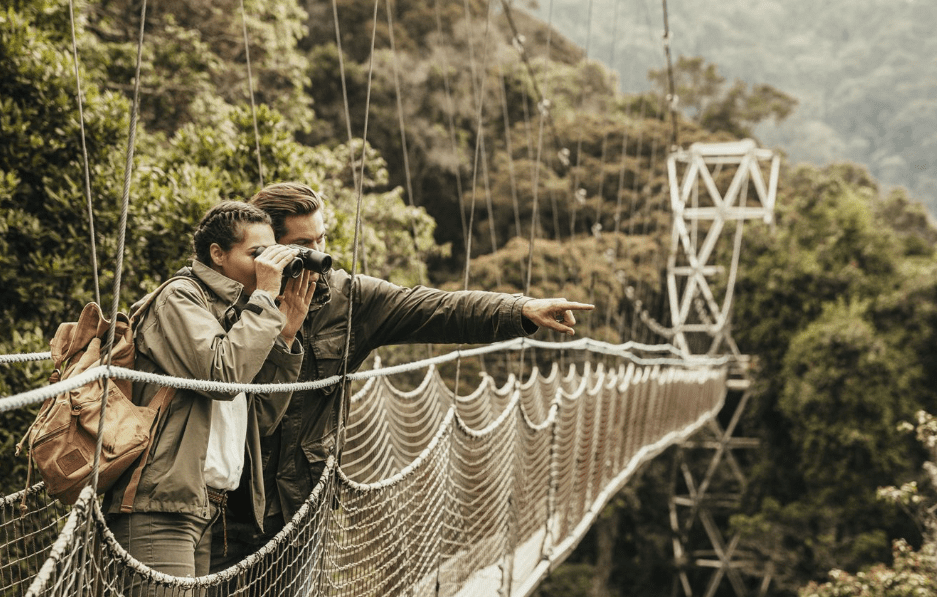 canopy walk nyugwe