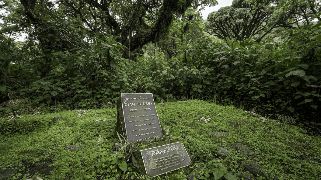 diana fossey tomb in volocanoes national park