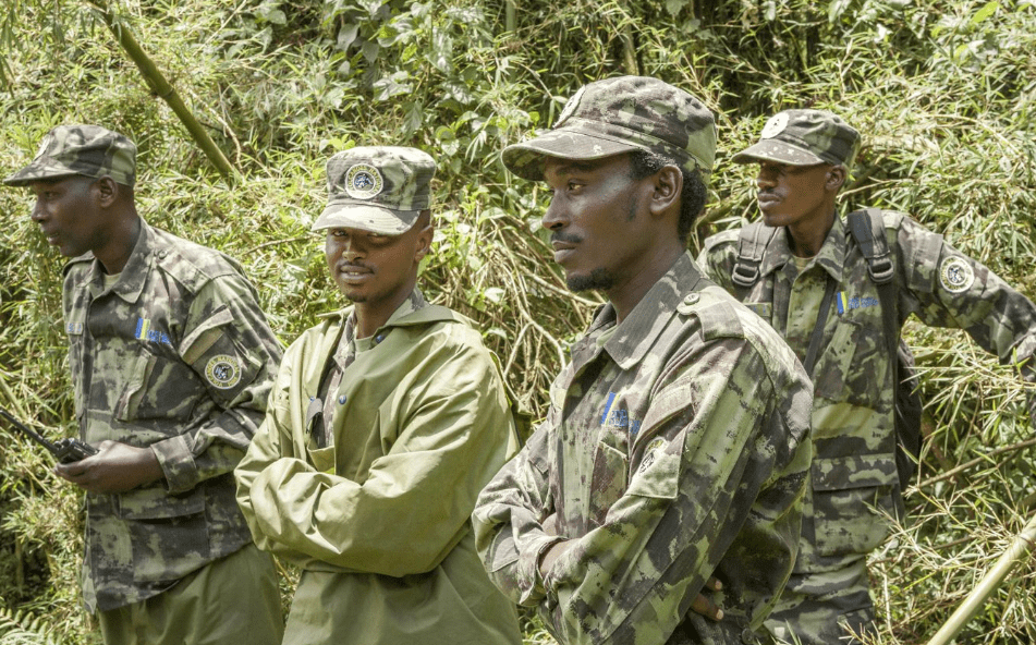 Guidelines for Gorilla Trekking in Rwanda rangers in volocanoes national park
