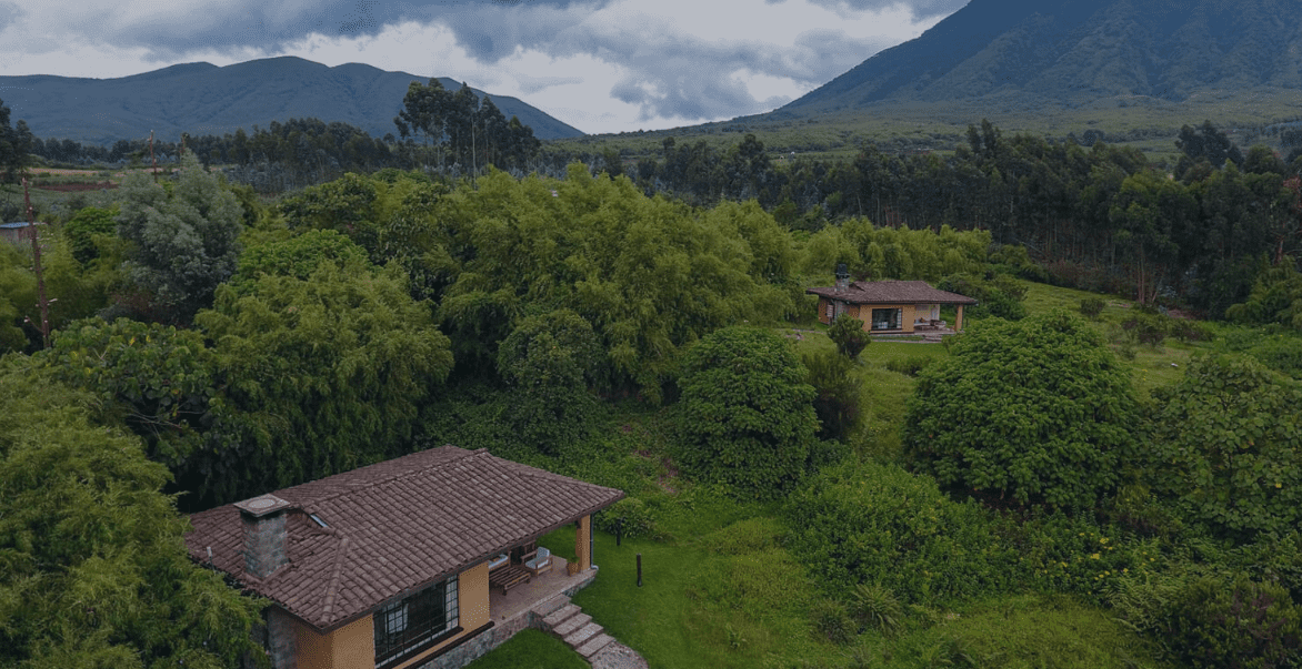 sabinyo silverback lodge