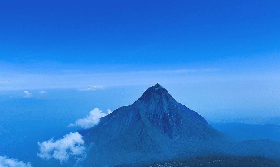 Private vs Group Rwanda Tours volocanoes national park a place to see mountain gorillas