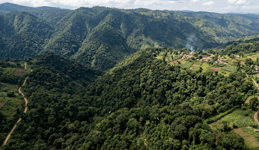 bwindi impenetrable forest national park