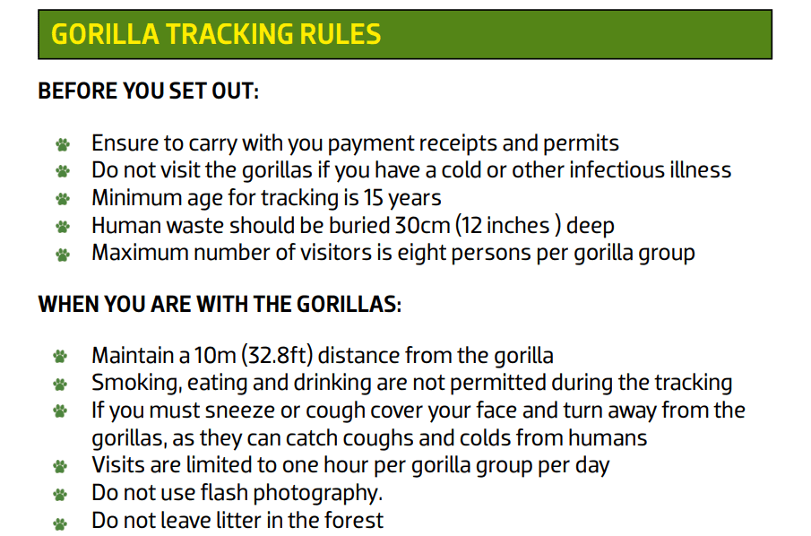 gorilla trekking rules