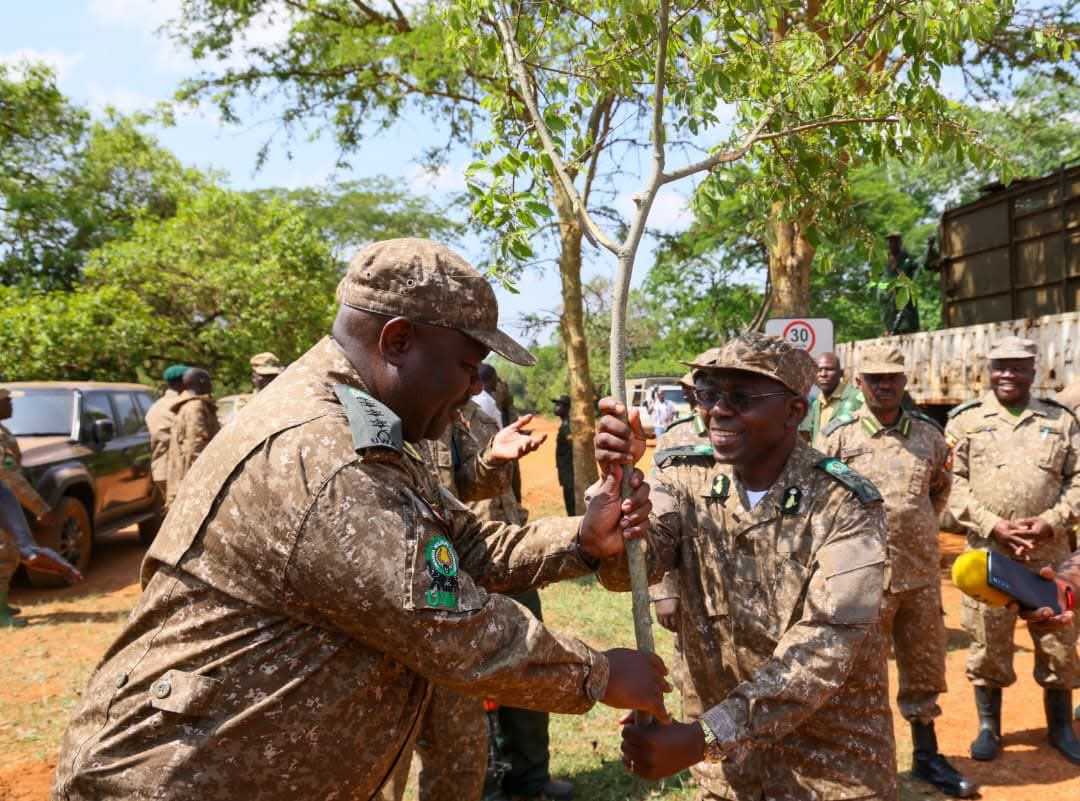 kidepo savannah wilderness uganda