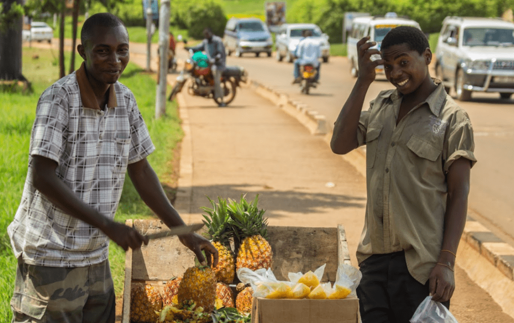 road side fruits