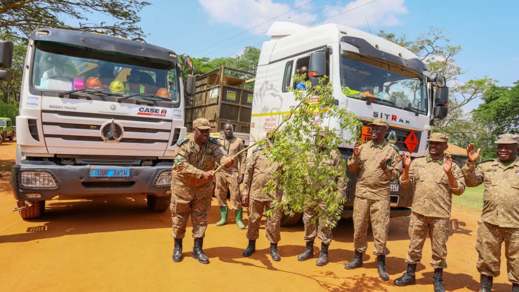 southern white rhinos uganda conservation