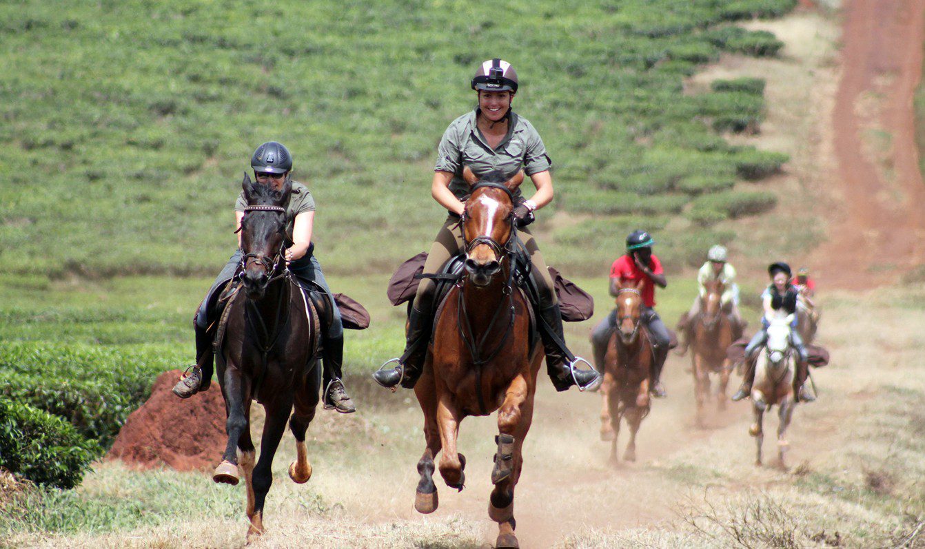 tea plantations nile horseback safaris
