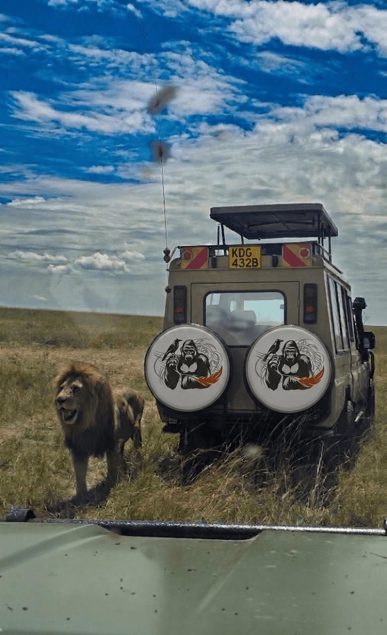 Landcruiser Safari Jeep