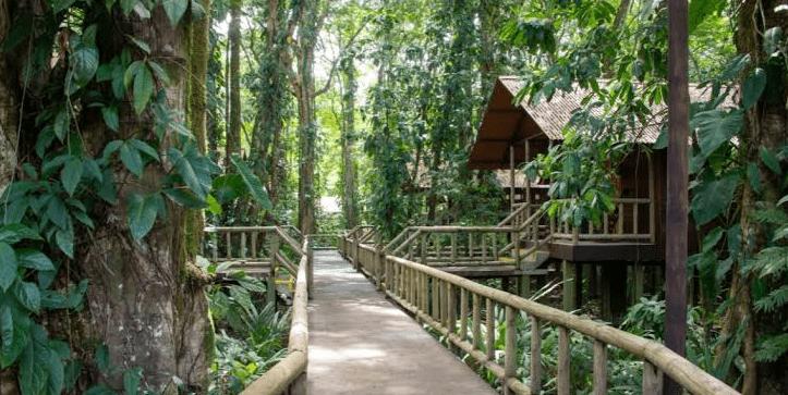 an eco lodge in a conserved area in burundi