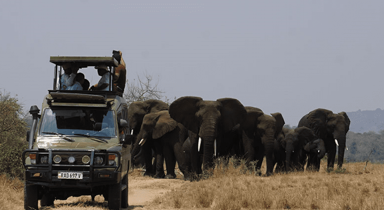 Burundi Safari Cost Breakdown: Lodges, Permits & Guides budget planning