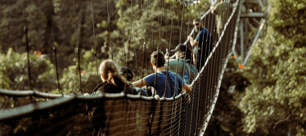 Photography Safari Rwanda Volcanoes Burundi Chimp Forests, canopy walk