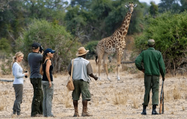 Eco-tourists practicing Responsible Tourism in Burundi on a guided forest walk