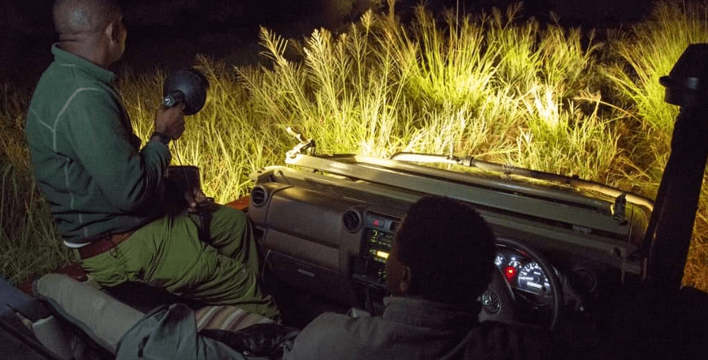 Night Safari in Burundi: Unveiling Nocturnal Wildlife Experiences