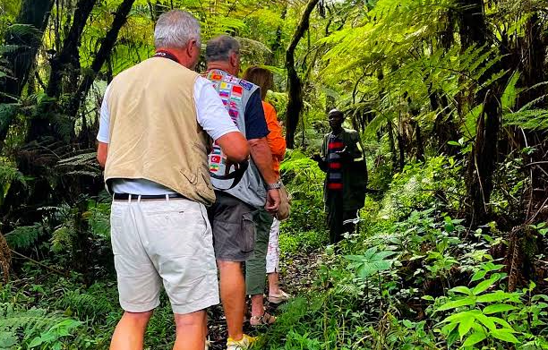 travelers on a nature walk in kibira