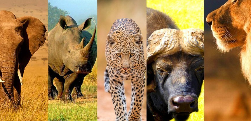 Ruvubu National Park Burundi: Big Five & Wildlife Safari game drive excursion