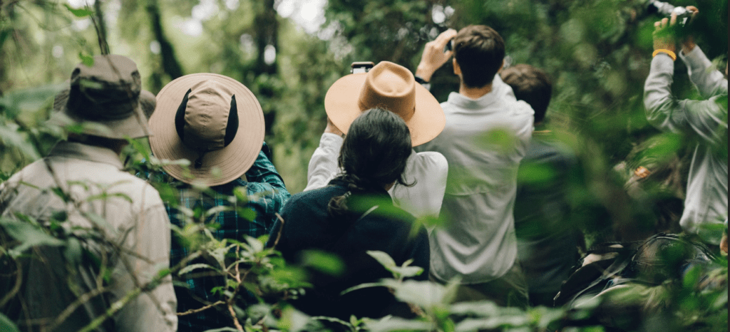 Photography Safari: Rwanda Volcanoes + Burundi Chimp Forests chimp action shot