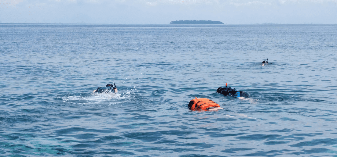 Lake Tanganyika Burundi: Water Activities & Scenic Beauty snorkeling scuba diving cichlids