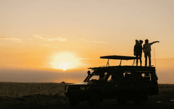 Guided transport for complex multi-country African safaris