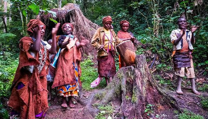 Twa Pygmy Culture in Burundi: History, Traditions & Village Tours the pygmies