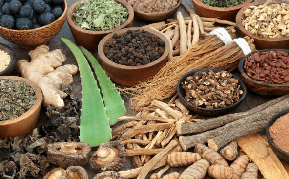 Indigenous Knowledge in Burundi: Traditional Medicine & Healing