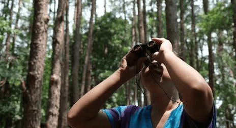 Practicing Safety Tips for Chimpanzee Trekking during a research safari