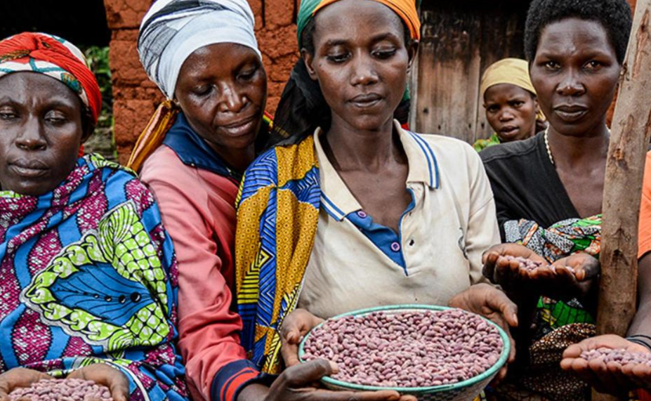Women in Burundi Culture: Roles, Rights &Empowerment Guide women show case their products