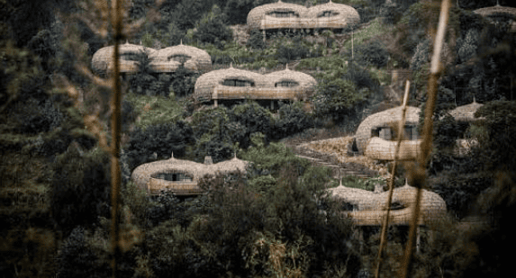 Basite Forest Villas