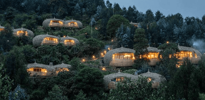 Basite's Forest Villas