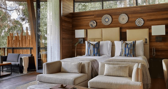 Gorilla's Nest Rooms