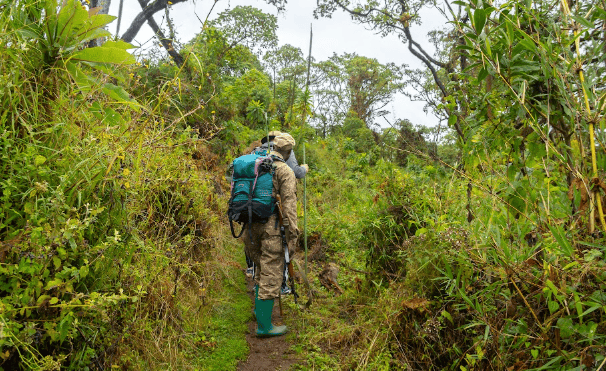 Mount Elgon Hiking