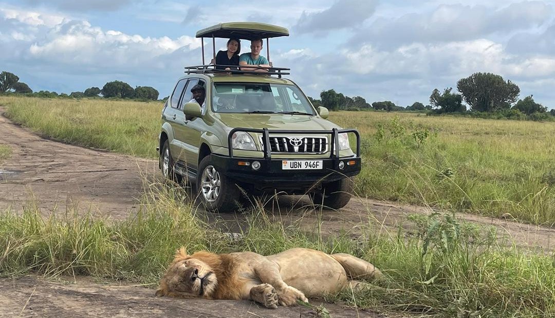 Game Drive